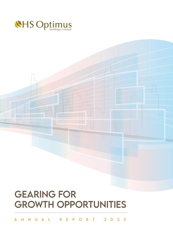 Annual Reports HS Optimus Holdings Limited Investment Holding Company
